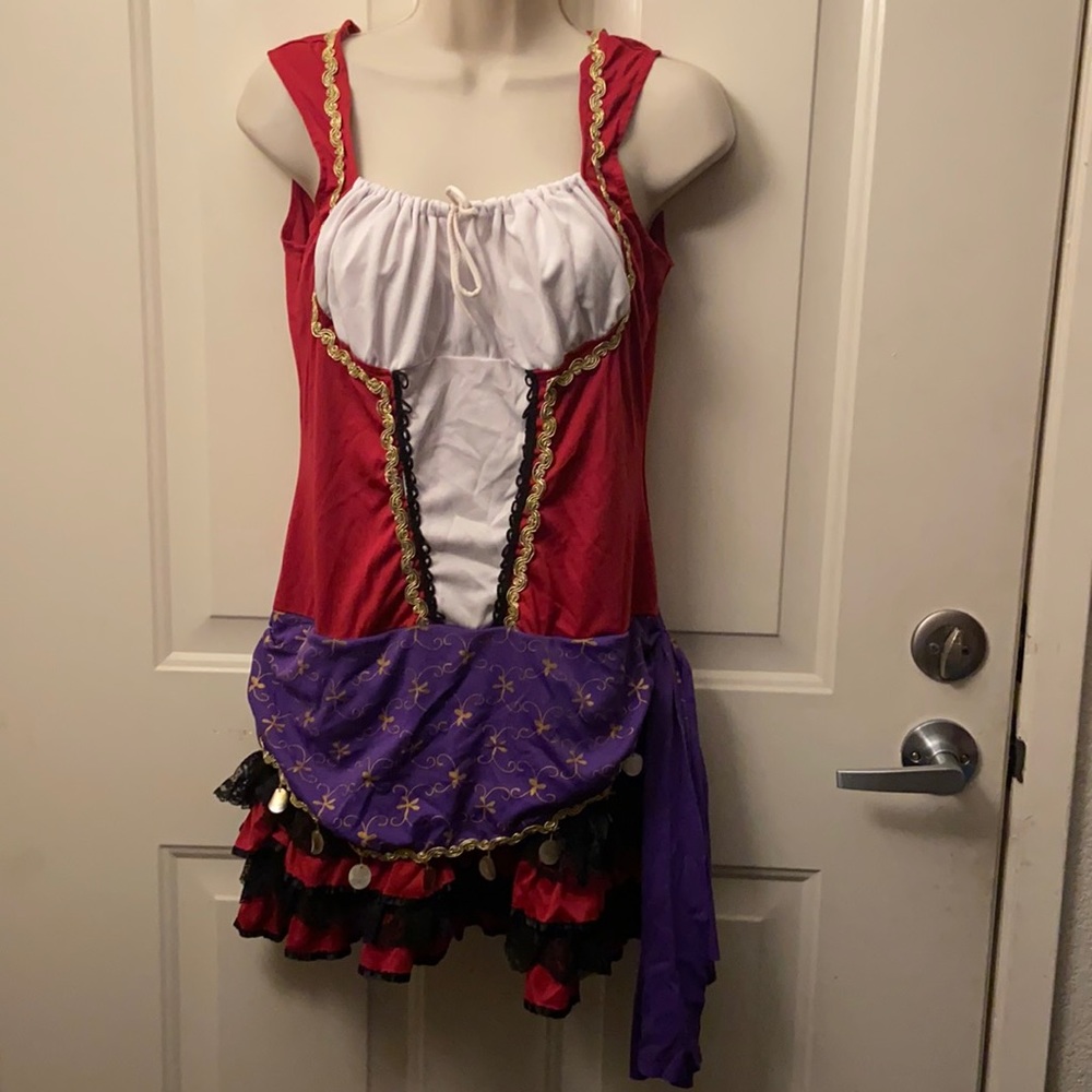 Disney Esmeralda Costume